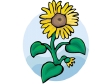 sunflower1312.gif