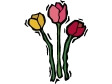 tulips.gif