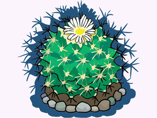 cactus21412.gif