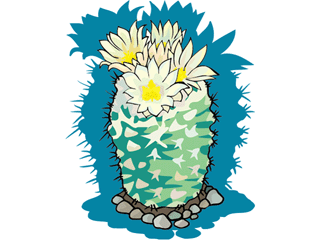 cactus61412.gif