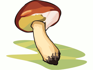 mushroom28.gif