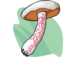 mushroom30.gif