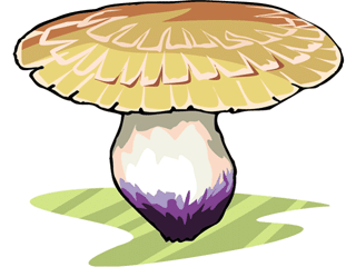 mushroom34.gif