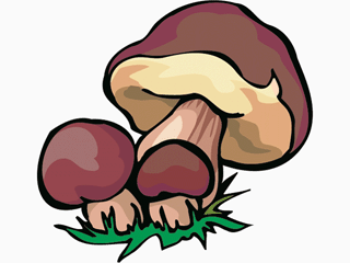 mushroom4.gif