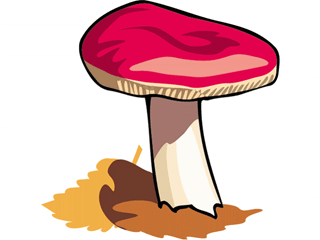 mushroom56.gif