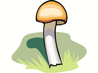 mushroom63.gif
