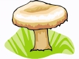 mushroom13.gif