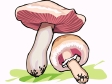 mushroom18.gif