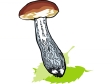 mushroom20.gif