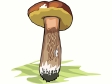 mushroom22.gif