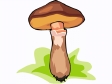 mushroom25.gif