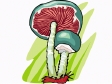 mushroom35.gif