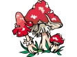 mushroom5.gif
