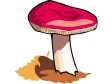 mushroom56.gif